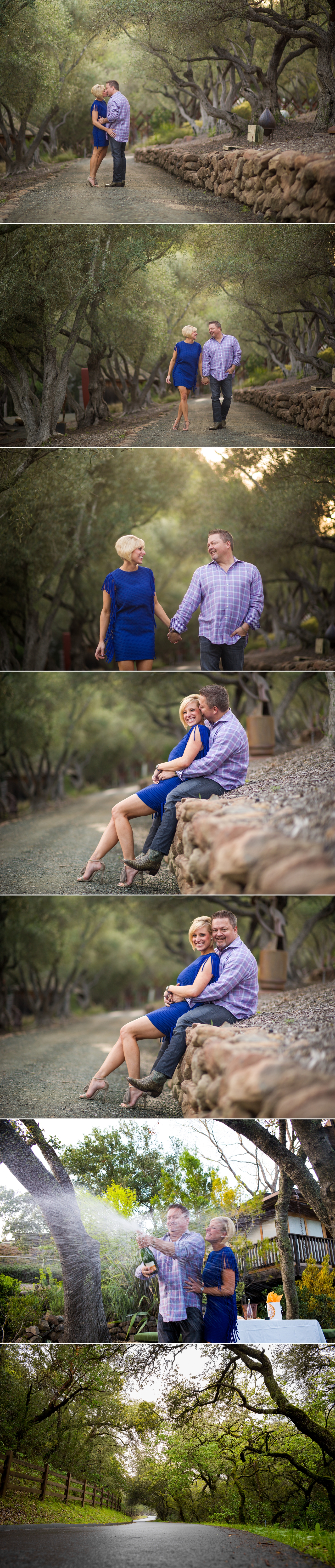 Napa Valley Proposal Photos at Auberge du Soleil 3